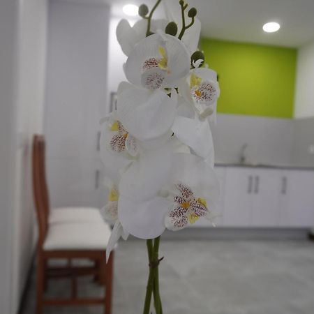 Apartamento Sanin 3 Lumbrales Ngoại thất bức ảnh
