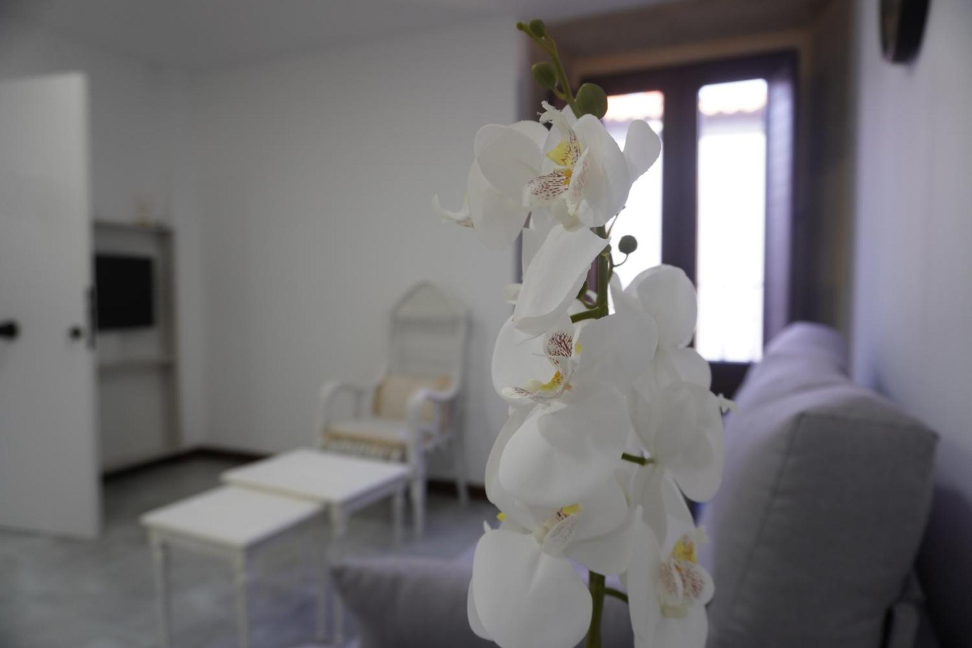 Apartamento Sanin 3 Lumbrales Ngoại thất bức ảnh